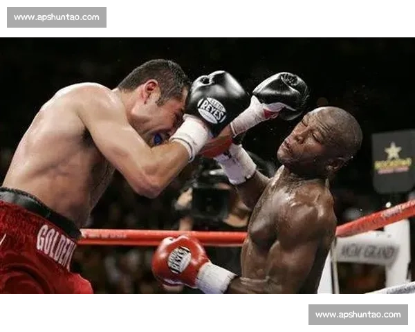 央视聚焦梅威瑟对决库托拳坛巅峰之战全程回顾与深度解析经典瞬间